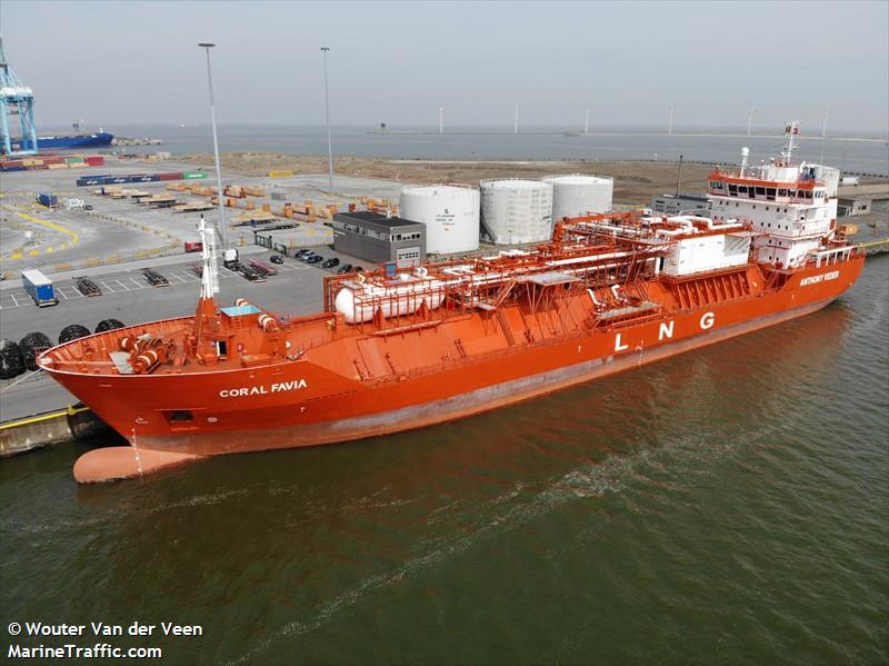coral favia (Liquefied Gas) - IMO 9378280, MMSI 244168000, Call Sign PDBD under the flag of Netherlands