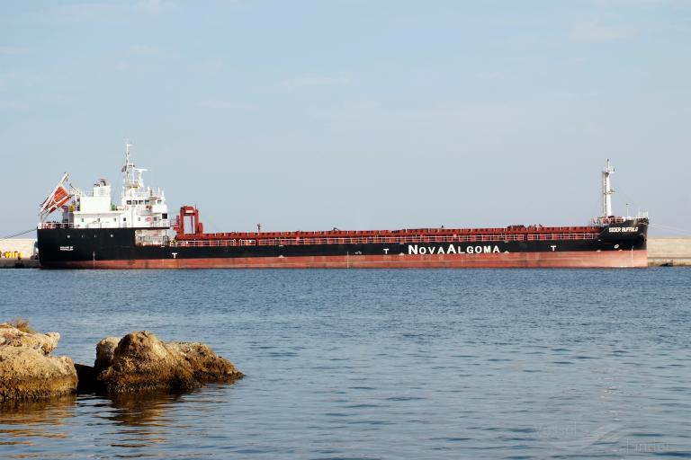 sider buffalo (General Cargo Ship) - IMO 9861512, MMSI 255806287, Call Sign CQAV5 under the flag of Madeira