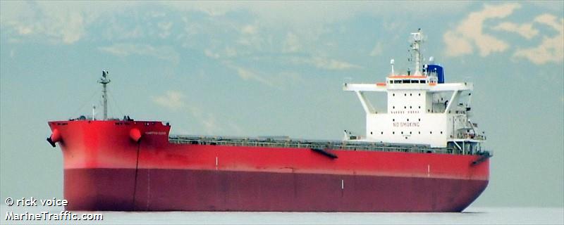 hampton ocean (Bulk Carrier) - IMO 9798844, MMSI 352589000, Call Sign 3ERX5 under the flag of Panama