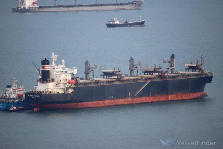 glorious plumeria (Wood Chips Carrier) - IMO 9357901, MMSI 370368000, Call Sign 3EIQ under the flag of Panama