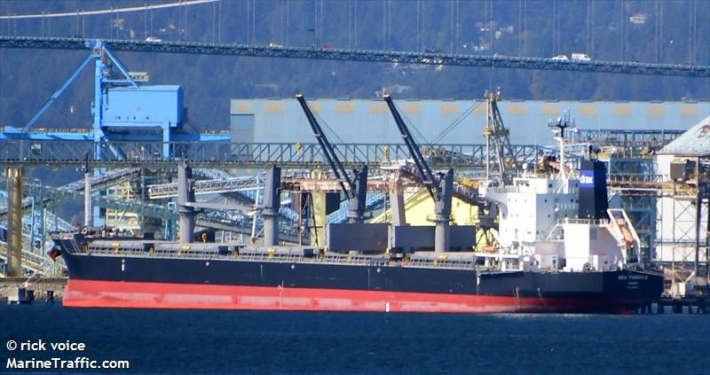 new pinnacle (Bulk Carrier) - IMO 9865013, MMSI 373076000, Call Sign 3FJD7 under the flag of Panama
