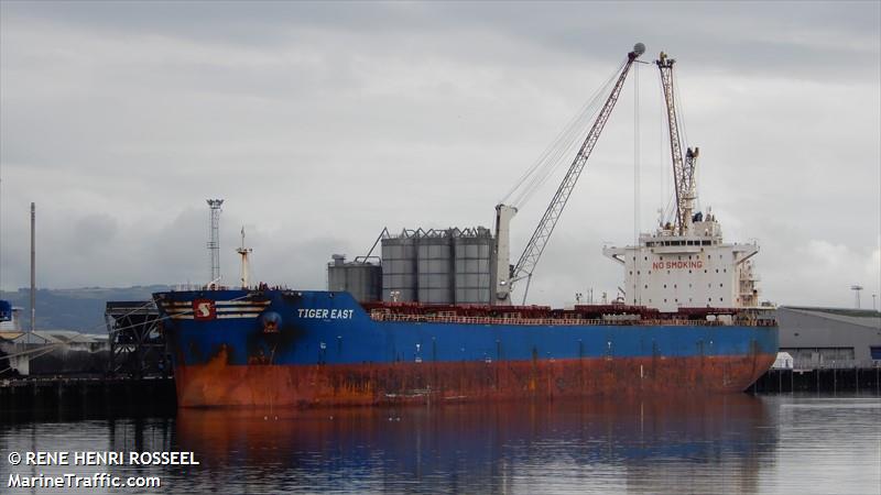 tiger east (Bulk Carrier) - IMO 9619842, MMSI 477427300, Call Sign VRKE2 under the flag of Hong Kong