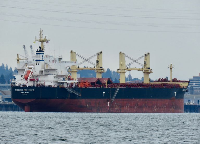 angelina the great n (Bulk Carrier) - IMO 9593725, MMSI 477462500, Call Sign VRIN3 under the flag of Hong Kong