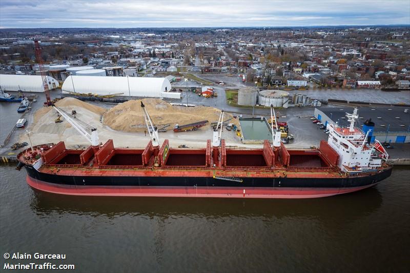 st pinot (Bulk Carrier) - IMO 9596179, MMSI 538007639, Call Sign V7YK3 under the flag of Marshall Islands