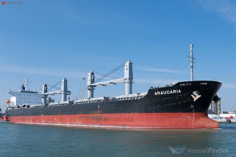 araucaria (Bulk Carrier) - IMO 9882994, MMSI 563106200, Call Sign 9V6732 under the flag of Singapore