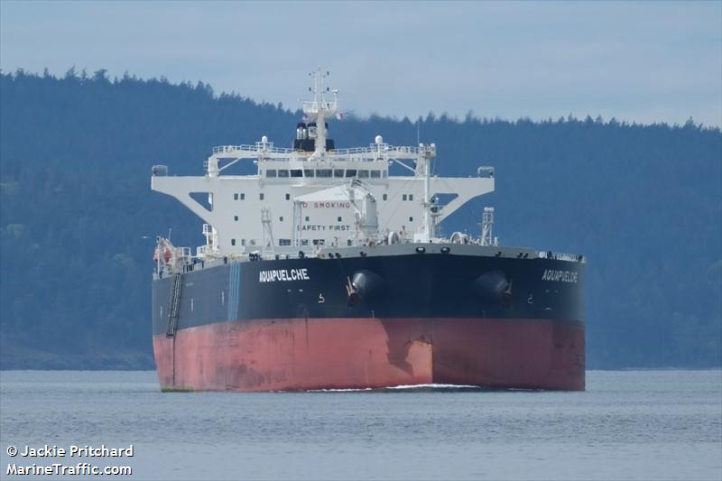 aquapuelche (Crude Oil Tanker) - IMO 9778727, MMSI 636017857, Call Sign D5NA5 under the flag of Liberia