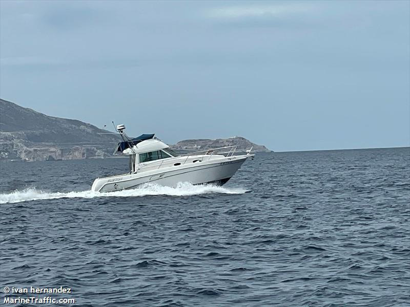 orion (Pleasure craft) - IMO , MMSI 224214160 under the flag of Spain