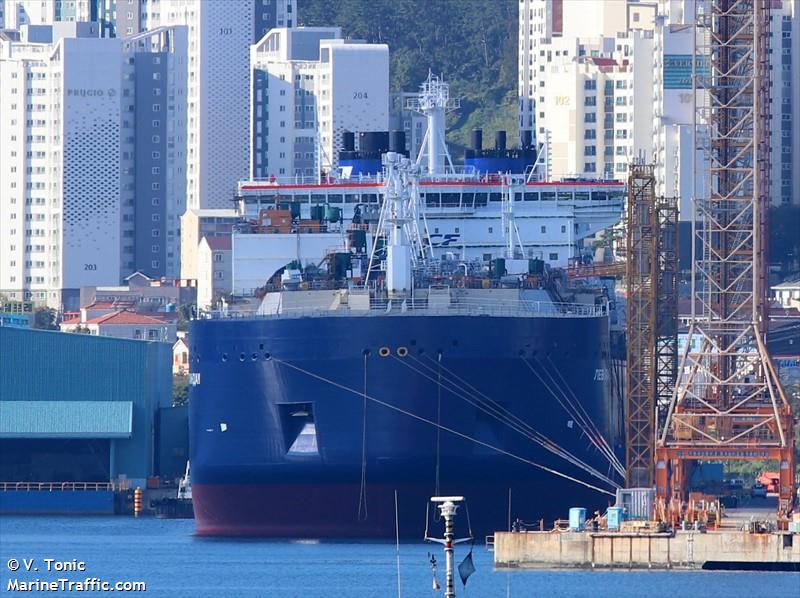 lev landau (LNG Tanker) - IMO 9918016, MMSI 352003097, Call Sign 3E5983 under the flag of Panama