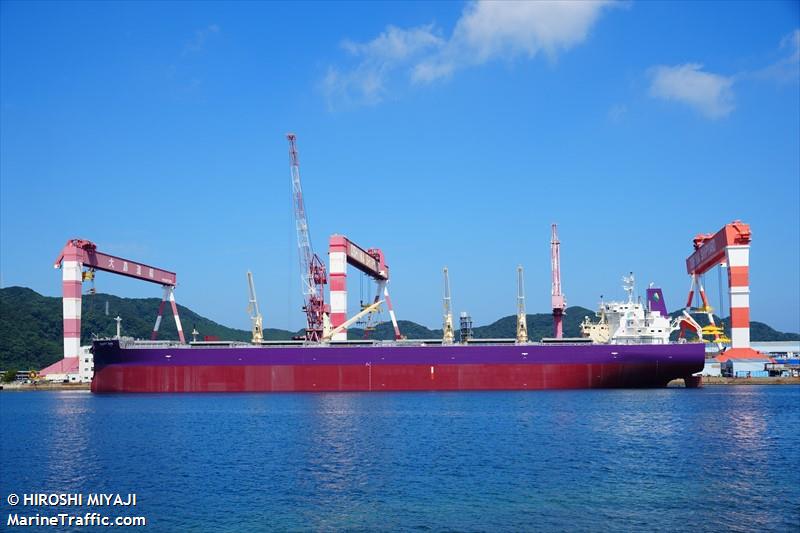 bounty diva (Bulk Carrier) - IMO 9959785, MMSI 636023162, Call Sign 5LMH9 under the flag of Liberia