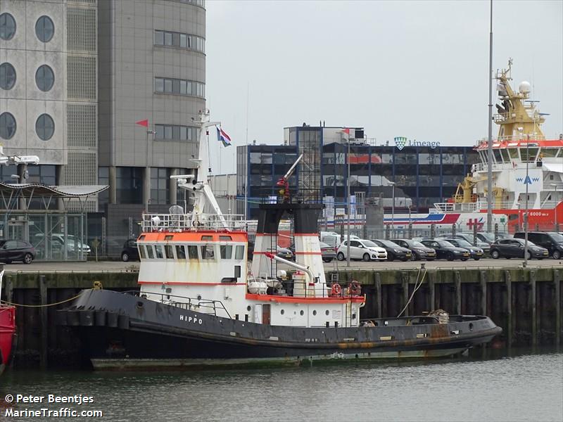 hippo (Tug) - IMO 8422058, MMSI 377207000, Call Sign J8B6477 under the flag of St Vincent & Grenadines