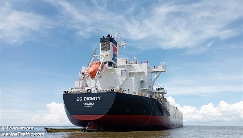 es dignity (Bulk Carrier) - IMO 9966099, MMSI 352003054, Call Sign 3E6602 under the flag of Panama