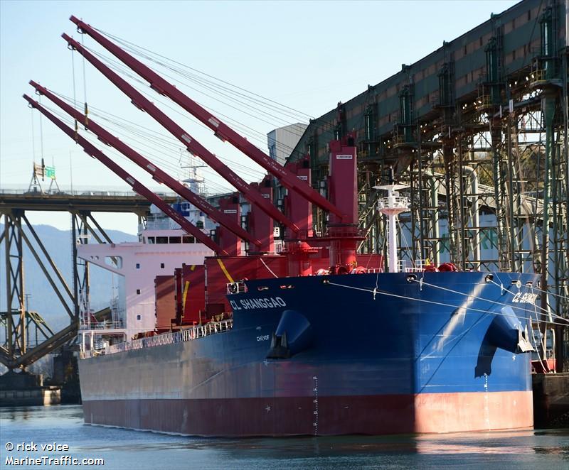 cl shanggao (Bulk Carrier) - IMO 9953303, MMSI 477921500, Call Sign VRVU7 under the flag of Hong Kong