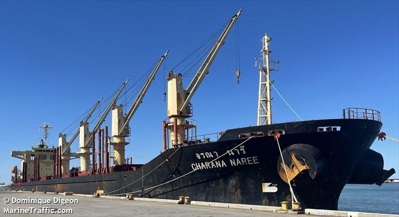 charana naree (Bulk Carrier) - IMO 9296303, MMSI 563205100, Call Sign 9V9124 under the flag of Singapore