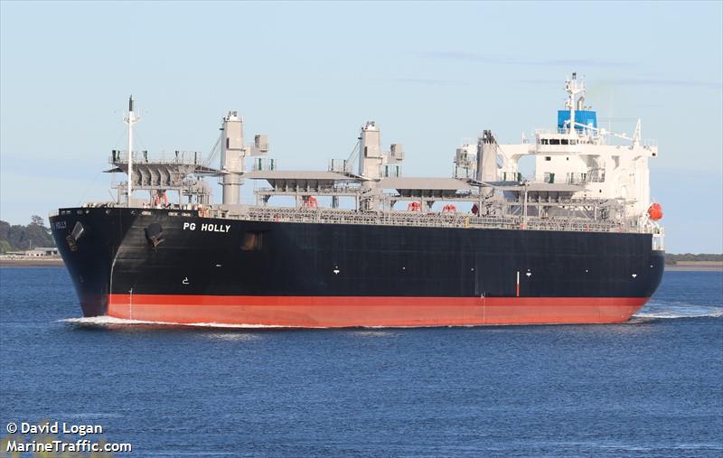 pg holly (Wood Chips Carrier) - IMO 9959747, MMSI 563201500, Call Sign 9V8049 under the flag of Singapore