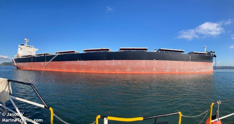 great amber (Bulk Carrier) - IMO 9980887, MMSI 477909900, Call Sign VRVU5 under the flag of Hong Kong