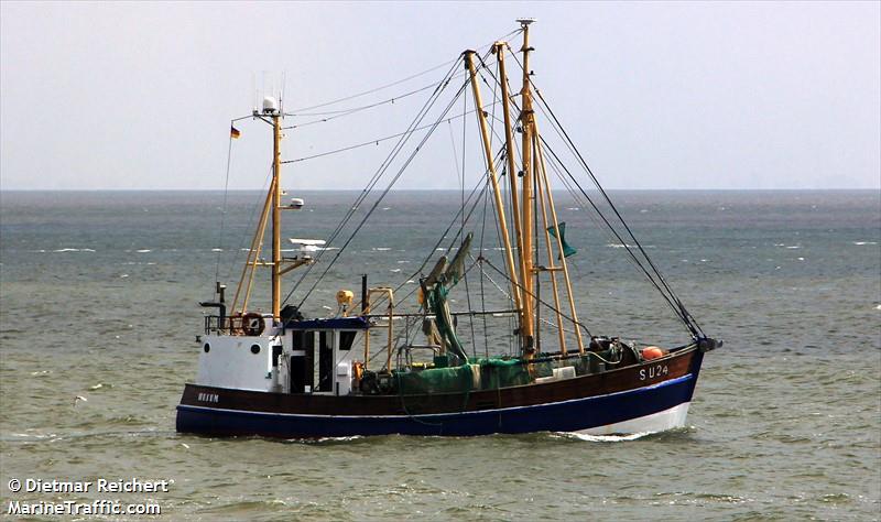 birte su24 (Fishing vessel) - IMO , MMSI 211802810, Call Sign DJIF under the flag of Germany