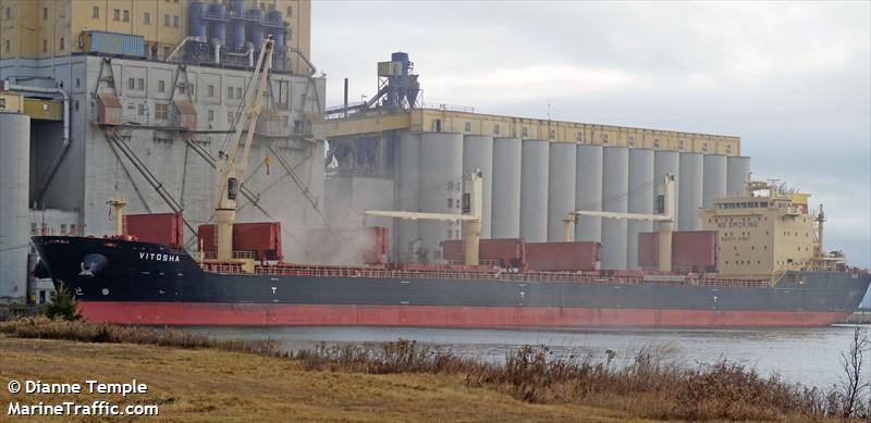 vitosha (Bulk Carrier) - IMO 9564138, MMSI 248721000, Call Sign 9HA2482 under the flag of Malta