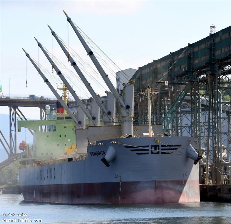 senorita (Bulk Carrier) - IMO 9384540, MMSI 259732000, Call Sign LAEG7 under the flag of Norway