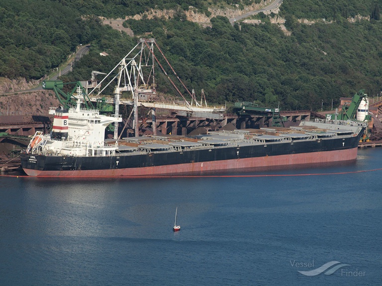 emil (Bulk Carrier) - IMO 9462483, MMSI 319152800, Call Sign ZGIE9 under the flag of Cayman Islands