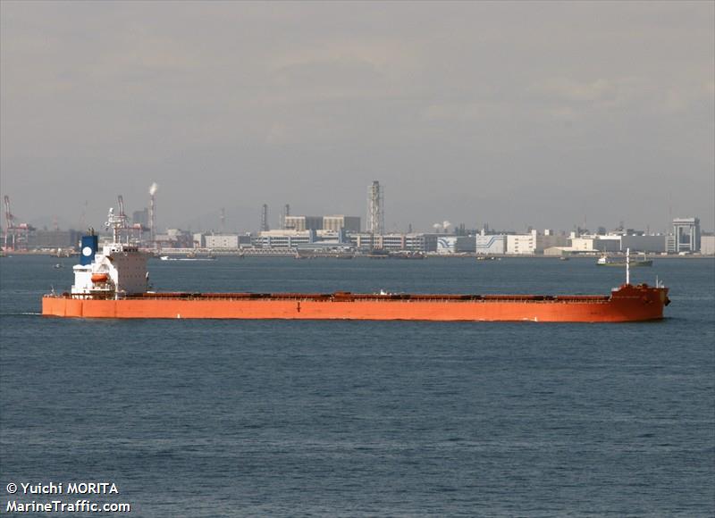 sunny laurel (Container Ship) - IMO 9826562, MMSI 351674000, Call Sign H8BZ under the flag of Panama