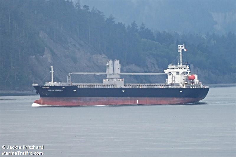 ocean seagull (General Cargo Ship) - IMO 9542855, MMSI 351954000, Call Sign 3FSU4 under the flag of Panama