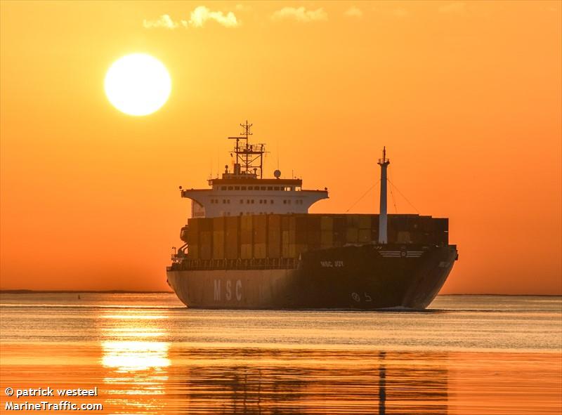 msc joy (Container Ship) - IMO 9039250, MMSI 356037000, Call Sign 3EUB5 under the flag of Panama