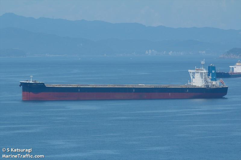 good horizon (Bulk Carrier) - IMO 9767089, MMSI 357293000, Call Sign 3EVK9 under the flag of Panama