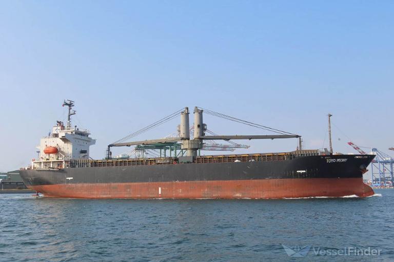 toyo peony (General Cargo Ship) - IMO 9543990, MMSI 374371000, Call Sign 3EKV8 under the flag of Panama