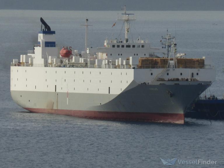 nabolsi (Livestock Carrier) - IMO 8204250, MMSI 450562000, Call Sign ODWG under the flag of Lebanon