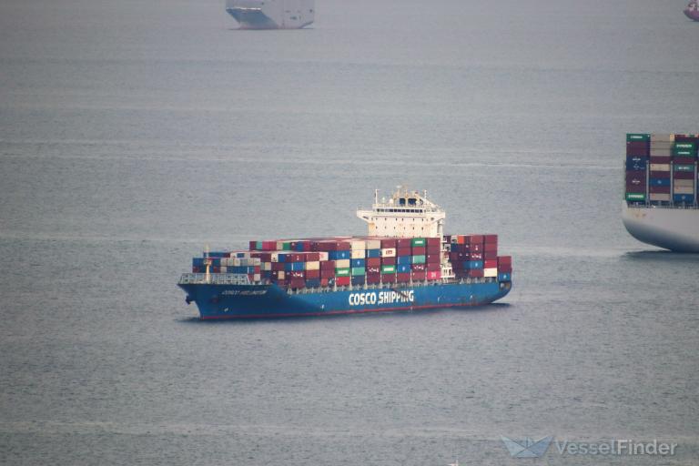 cosco wellington (Container Ship) - IMO 9484417, MMSI 477004600, Call Sign VRME3 under the flag of Hong Kong