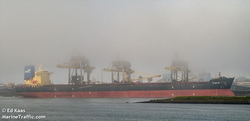 sm hedland (Bulk Carrier) - IMO 9397743, MMSI 538008098, Call Sign V7BW6 under the flag of Marshall Islands