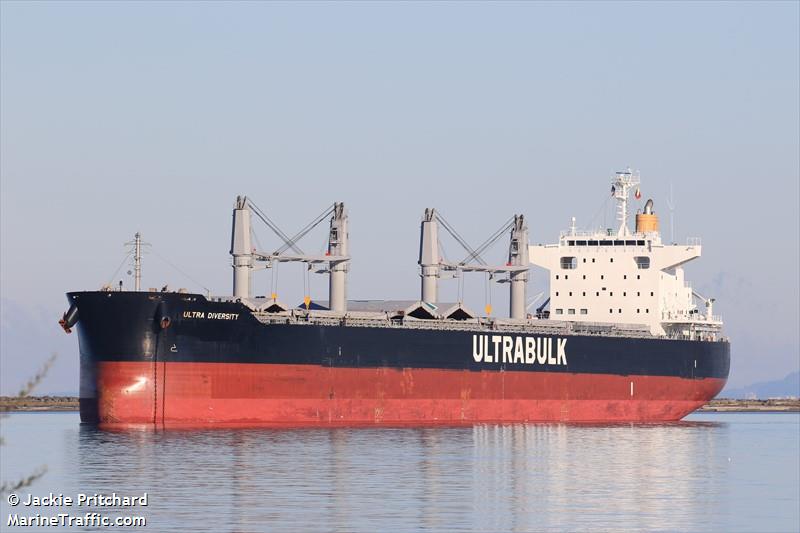 ultra diversity (Bulk Carrier) - IMO 9790854, MMSI 563019500, Call Sign 9V5411 under the flag of Singapore