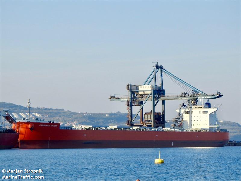 cassiopeia ocean (Bulk Carrier) - IMO 9837286, MMSI 563059100, Call Sign 9V2564 under the flag of Singapore