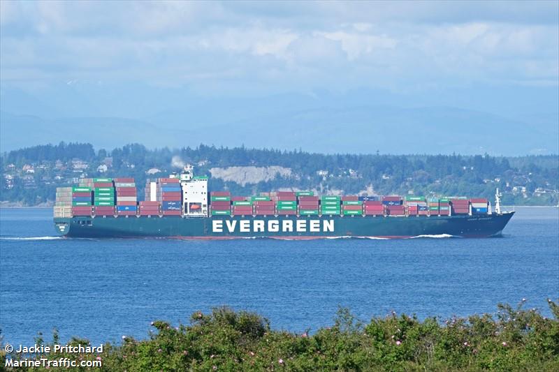 ever steady (Container Ship) - IMO 9300439, MMSI 563084800, Call Sign 9V6386 under the flag of Singapore