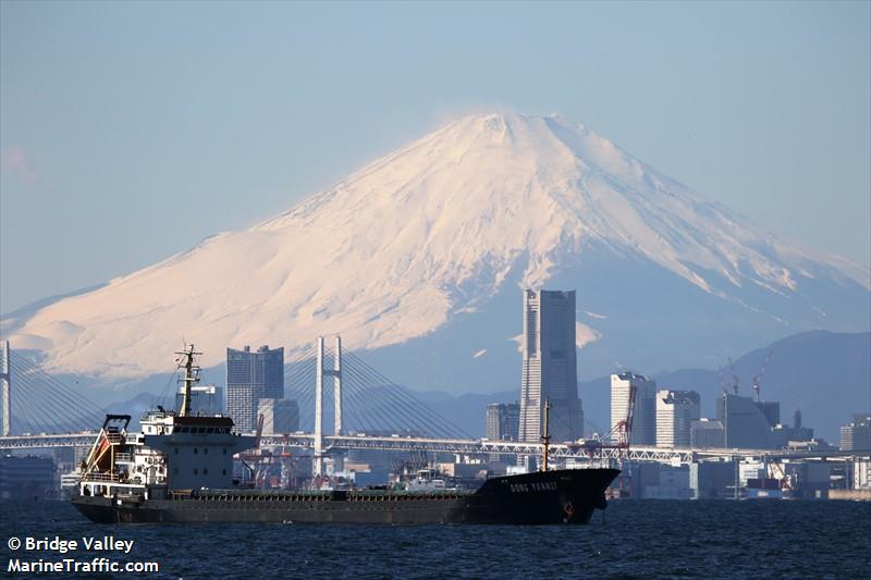 dong yuan 17 (General Cargo Ship) - IMO 8695863, MMSI 671048100, Call Sign 5VFU5 under the flag of Togolese Rep