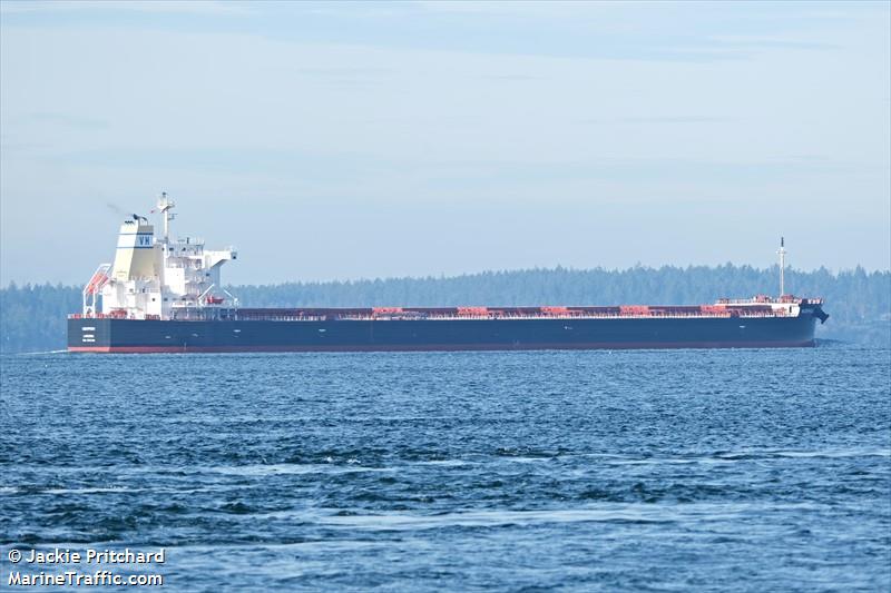 morphou (Bulk Carrier) - IMO 9975466, MMSI 209652000, Call Sign 5BGT6 under the flag of Cyprus