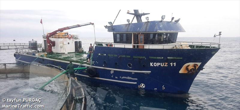 noordzee 50 (Fishing vessel) - IMO , MMSI 271073081, Call Sign TCA3126 under the flag of Turkey