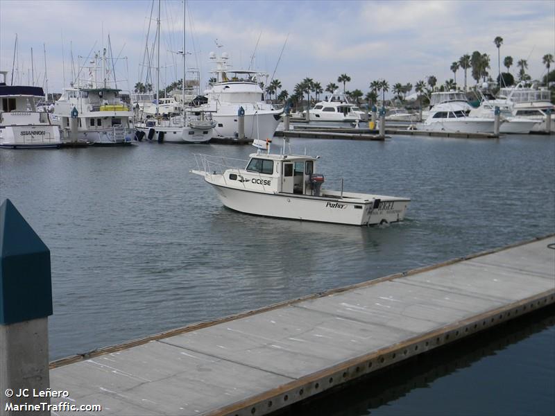 rigel (Pleasure craft) - IMO , MMSI 345903464 under the flag of Mexico