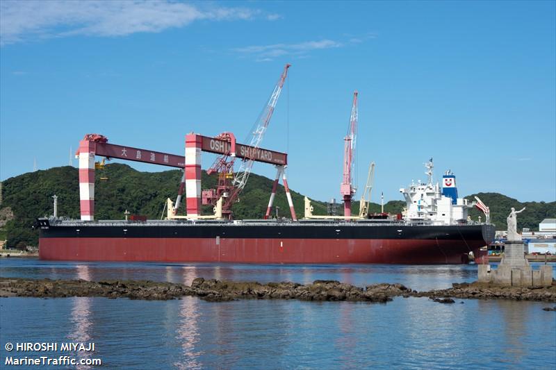 cemtex unity (Bulk Carrier) - IMO 9940643, MMSI 477921100, Call Sign VRVT6 under the flag of Hong Kong