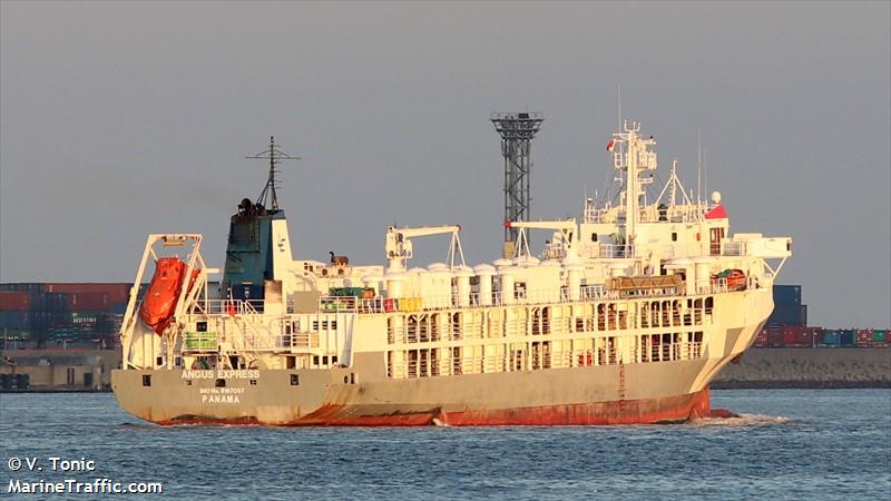 mayar (Livestock Carrier) - IMO 9167057, MMSI 341264001, Call Sign V4LK5 under the flag of St Kitts & Nevis