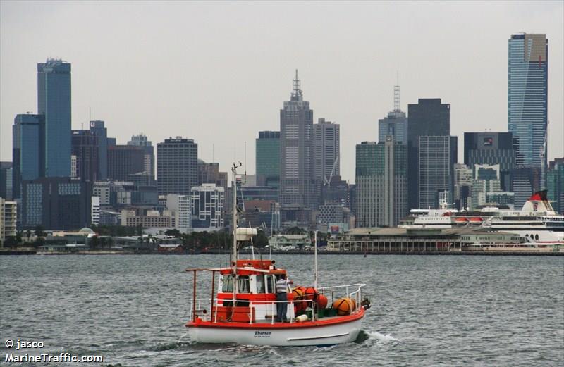 thorsen (Local type) - IMO , MMSI 503406900 under the flag of Australia