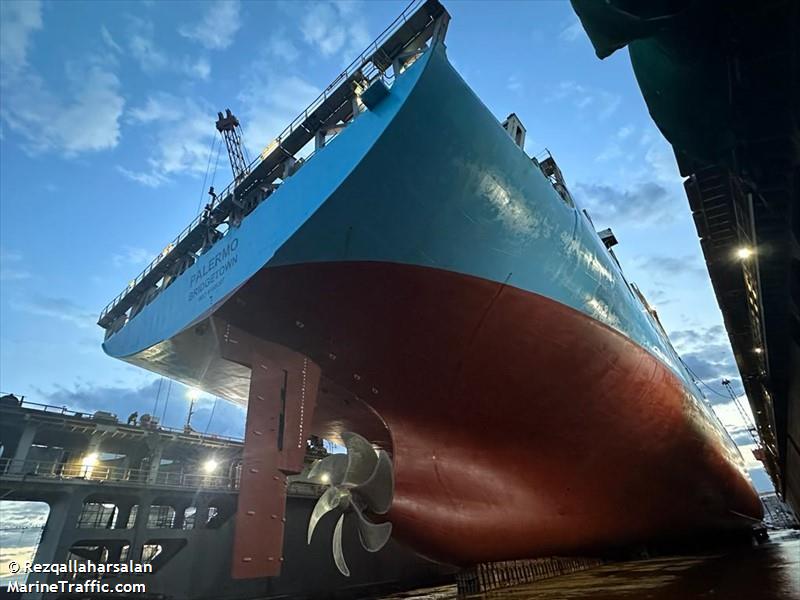 palermo (Container Ship) - IMO 9168207, MMSI 314792000, Call Sign 8PSO3 under the flag of Barbados