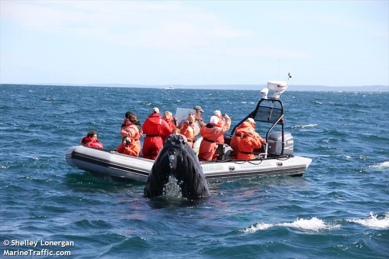 cetacean adventure (Passenger ship) - IMO , MMSI 316022123, Call Sign CH16 under the flag of Canada