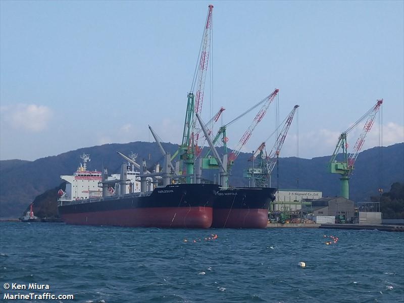 harlequin (Bulk Carrier) - IMO 9979101, MMSI 352003169, Call Sign 3E6044 under the flag of Panama