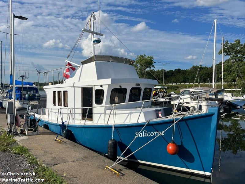 salicorne (Pleasure craft) - IMO , MMSI 316020163, Call Sign CFA3534 under the flag of Canada