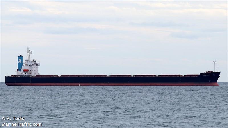 ac youth (Bulk Carrier) - IMO 9401506, MMSI 352003316, Call Sign 3E7478 under the flag of Panama