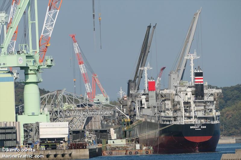 bright oak (General Cargo Ship) - IMO 9980667, MMSI 352003271, Call Sign 3E7442 under the flag of Panama