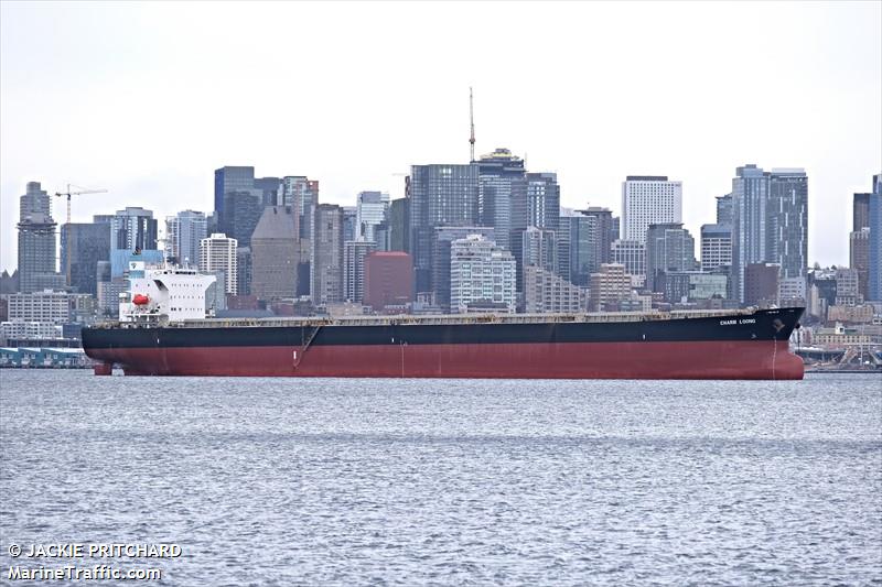 charm loong (Bulk Carrier) - IMO 9464390, MMSI 352003211, Call Sign 3E6074 under the flag of Panama
