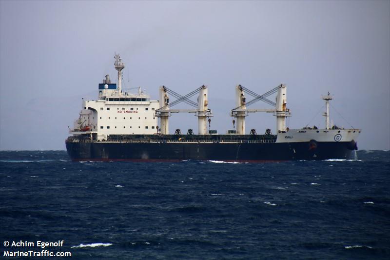 asali (Bulk Carrier) - IMO 9461805, MMSI 209199000, Call Sign 5BBW3 under the flag of Cyprus