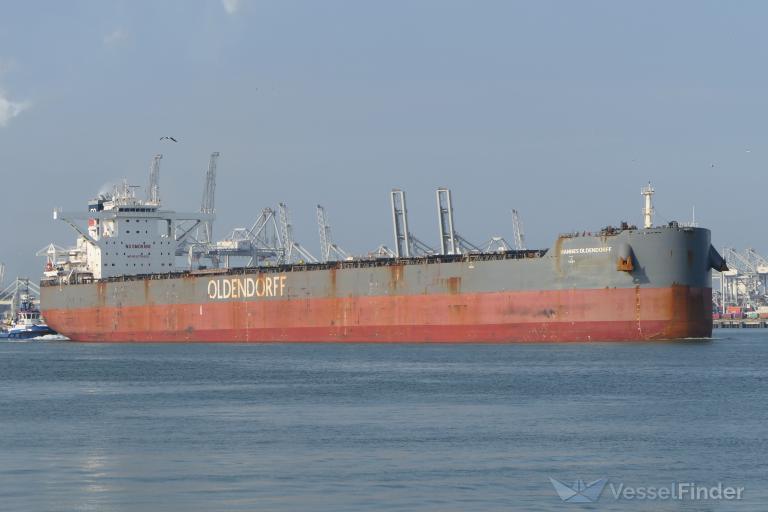 hannes oldendorff (Bulk Carrier) - IMO 9750402, MMSI 255805936, Call Sign CQIE4 under the flag of Madeira